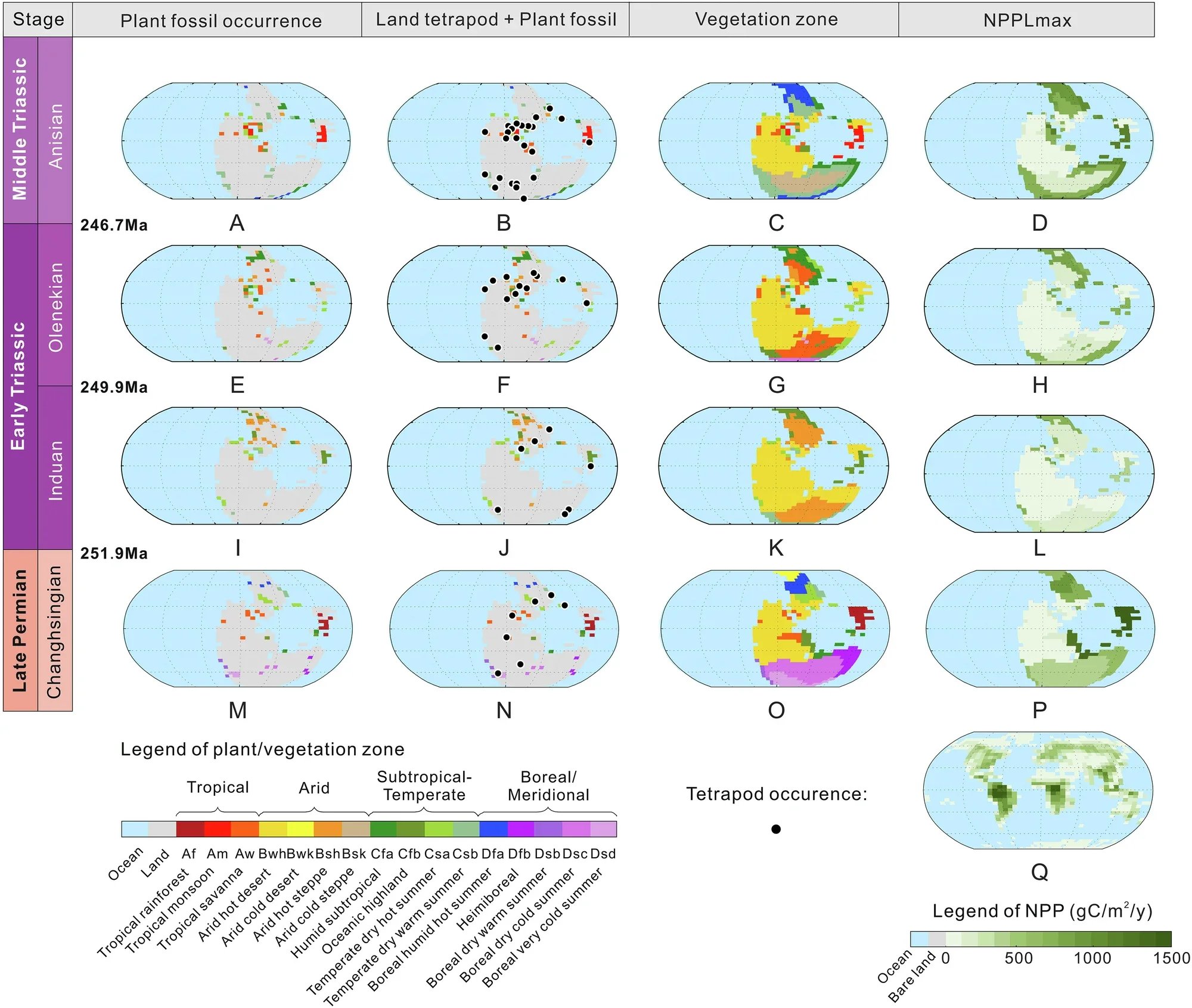 Late Permian to Middle Triassic maps of plant and land tetrapod fossil records, vegetation reconstruction and Net Primary Productivity (NPP) distribution.