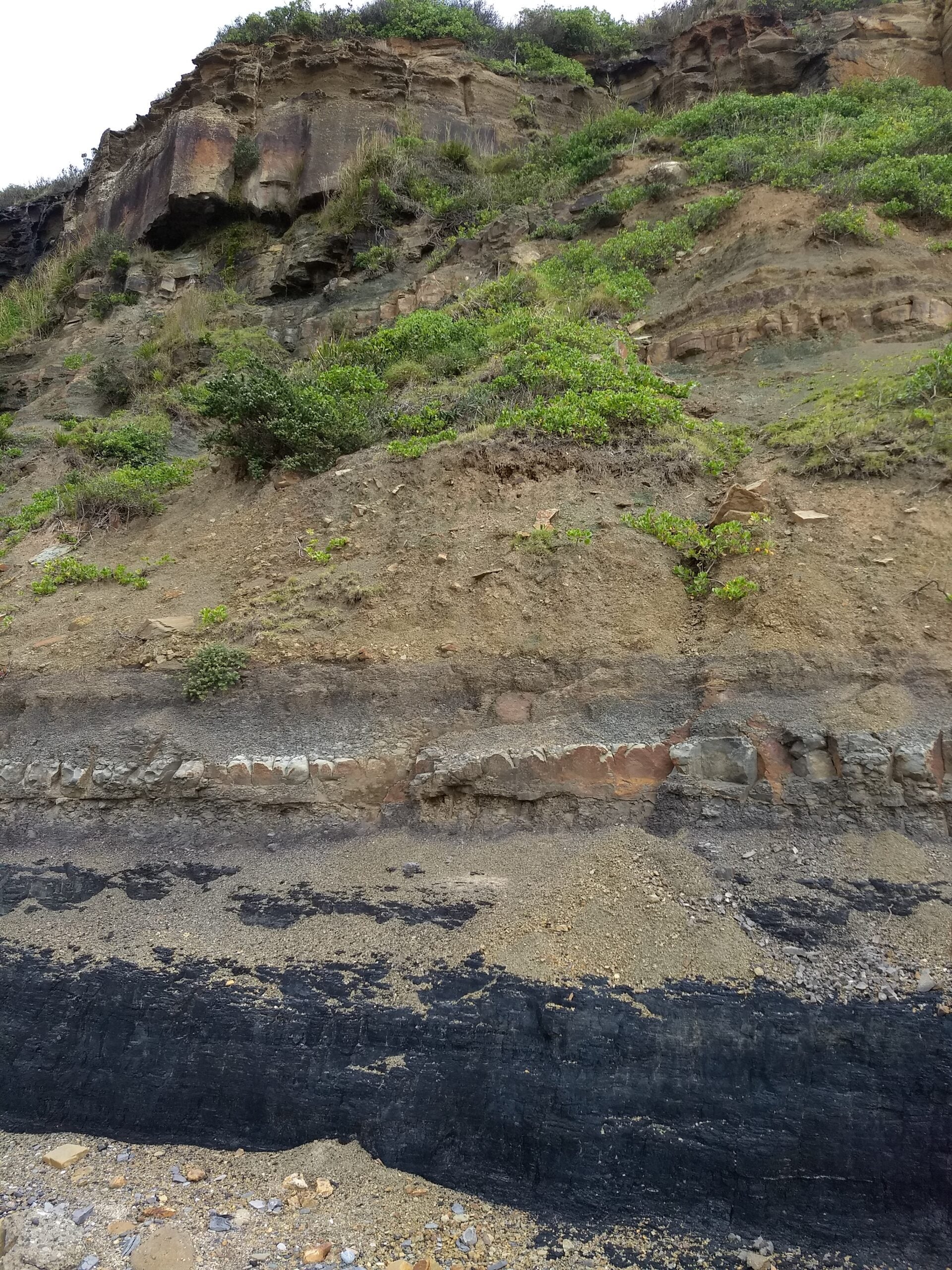 Permian–Triassic boundary at Frazer Beach in New South Wales, with the End Permian extinction event located just above the coal layer