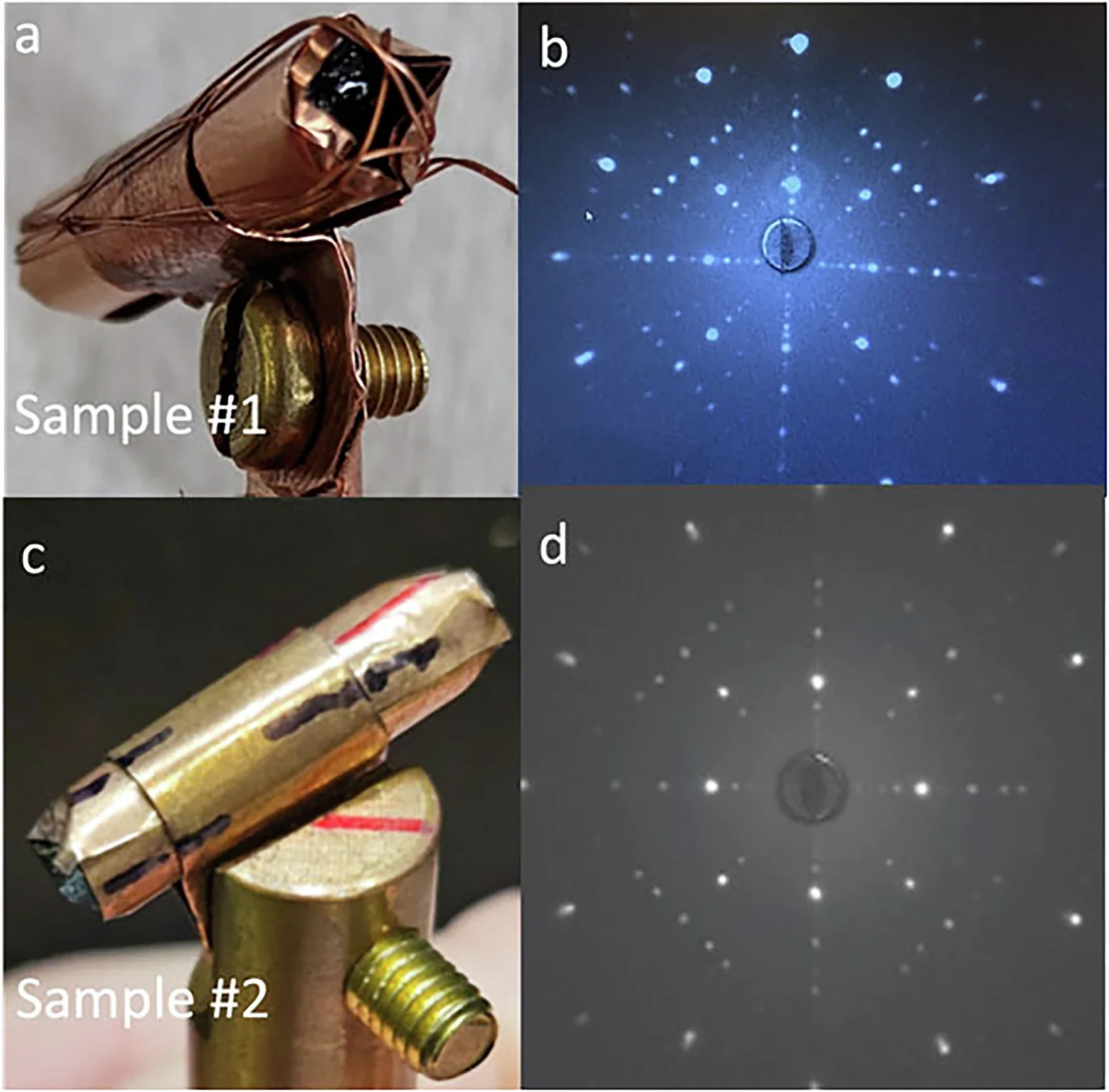Pictures of study samples.