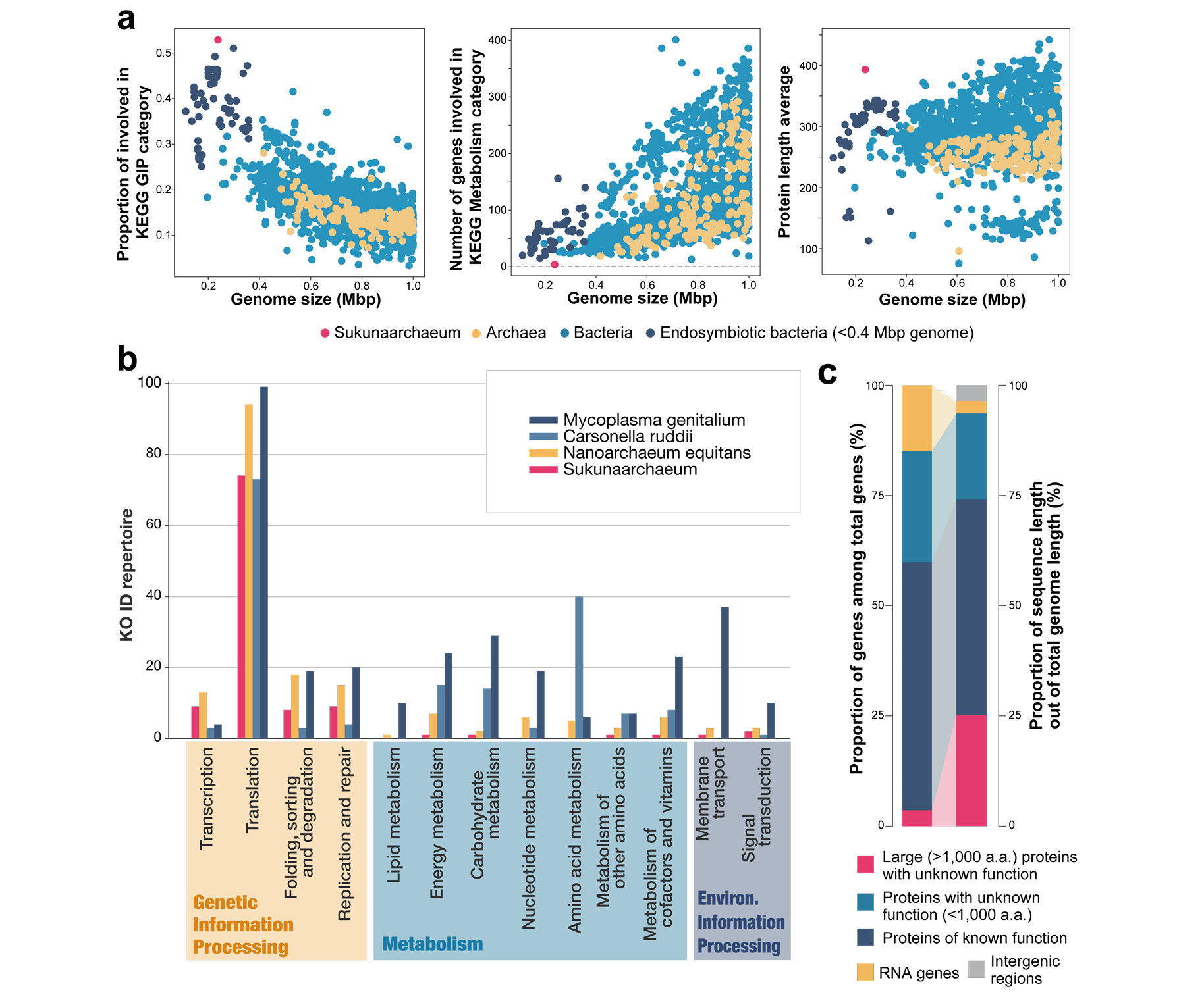 Genomic and proteomic features of Sukunaarchaeum.
