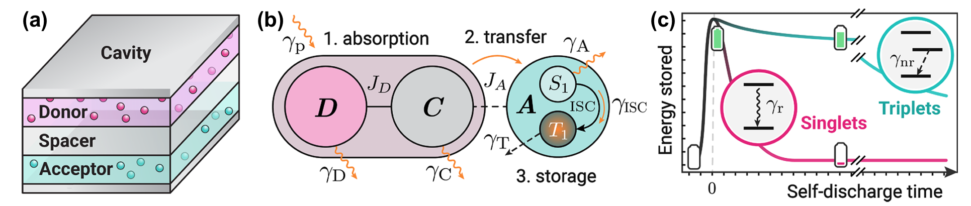Storage layer in a Dicke exciton-polariton quantum battery.