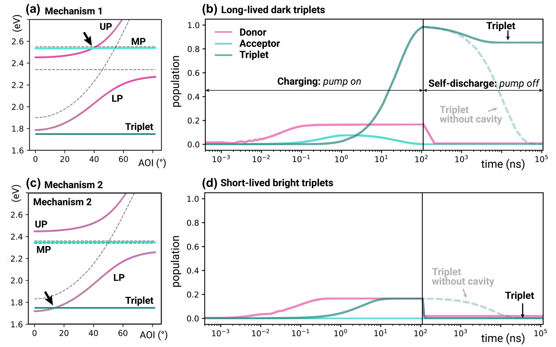 Energy-storage mechanisms. Polaritons of the effective Jaynes-Cumming Hamiltonian of Eq. (1) and the acceptor’s triplet.
