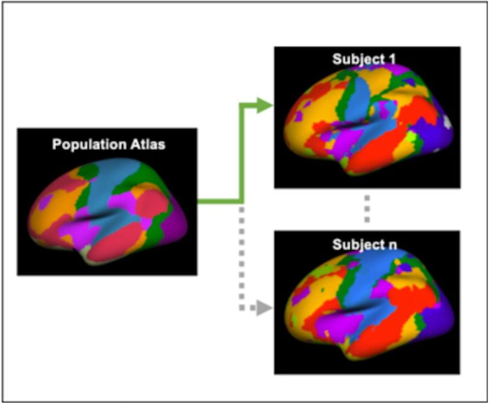 Individualized functional networks, created by mapping a population-level atlas to each participant’s brain, were used to detect early Alzheimer’s-related changes in brain function and cognition. 