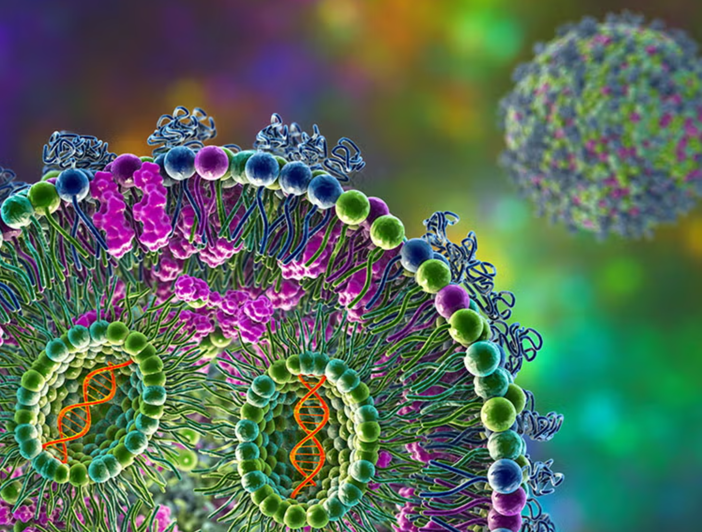Australian researchers develop PROTEUS, a biological AI system evolving new molecules rapidly within mammal cells, transforming medicine and genetics.