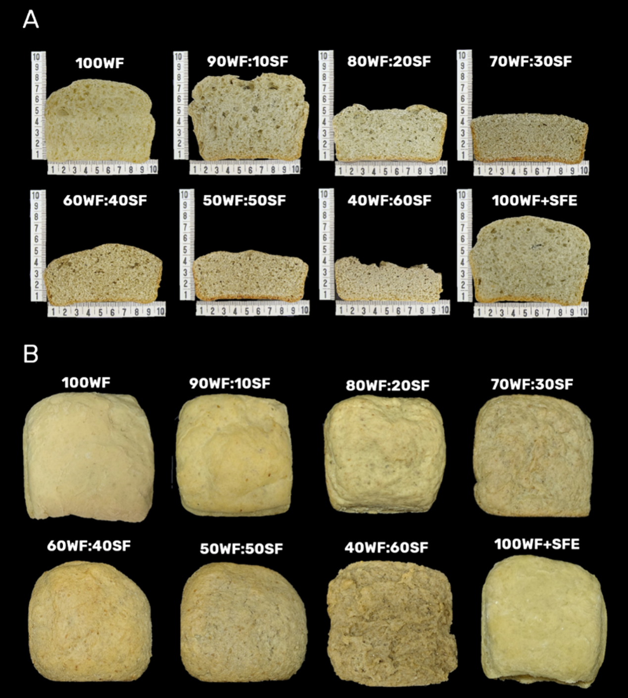 Appearance of central slices (A), and crust (B),  of bread formulations developed with wheat flour (WF) combined with sunflower flour (SF) or with the sunflower flour extract (SFE) and the standard sample prepared with 100% of wheat flour. The numbers indicate the ingredient proportions on a flour weight basis (g/100 g).