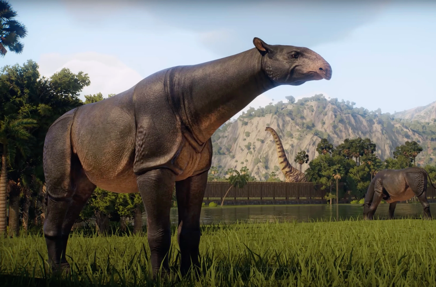 Paraceratherium, the largest land mammal, evolved, thrived, and vanished from ancient Earth.