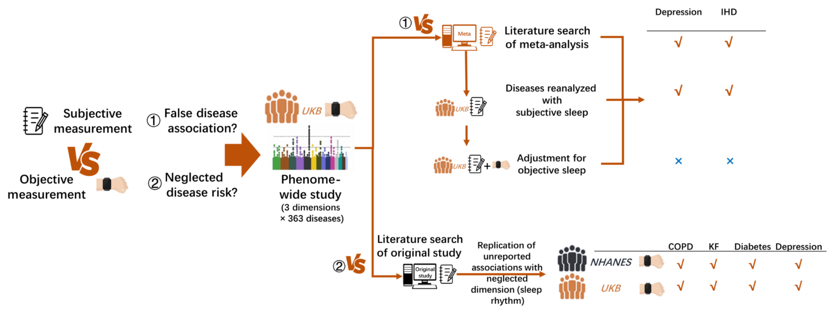 Flow chart of the study. Firstly, in 88,461 UK Biobank (UKB) adults wearing accelerometers, a prospective phenome-wide analysis was conducted of 363 International Classification of Diseases, 10th Revision–decoded diseases and 3 dimensions of sleep traits