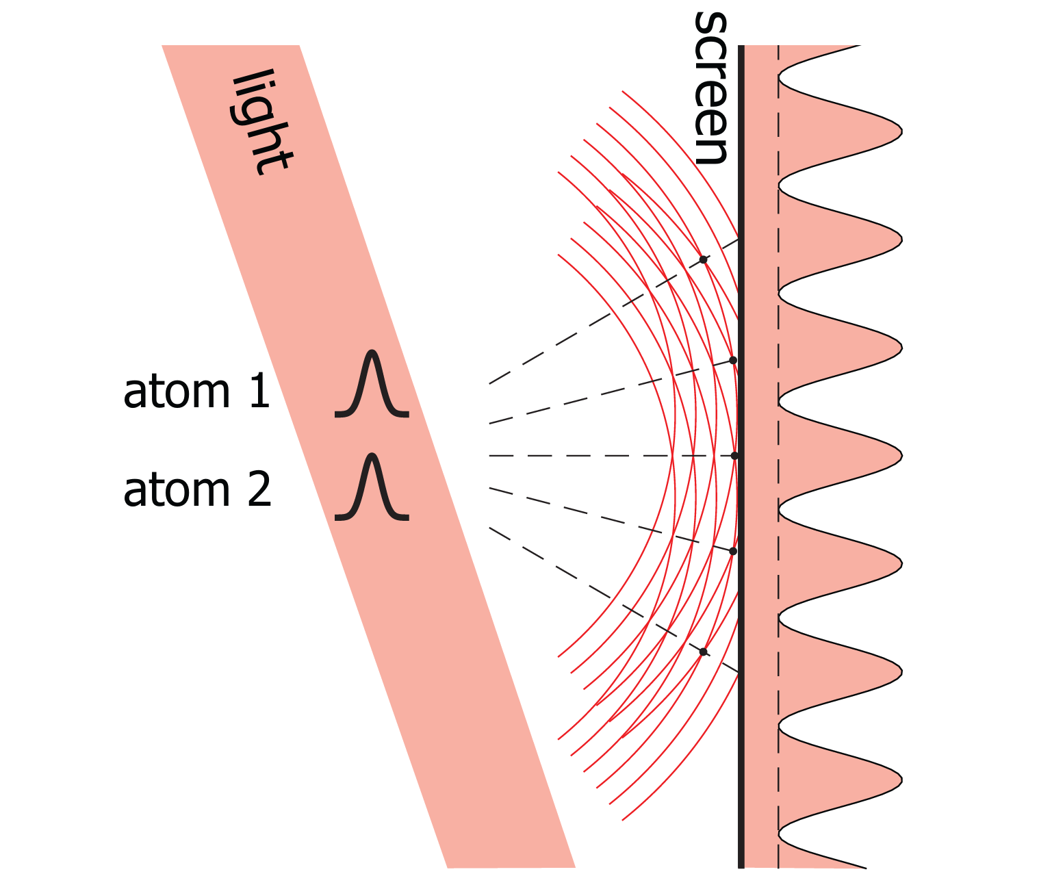 Light scattering from two atomic wavepackets. The light has a coherent part which results in interference fringes, and an incoherent part resulting in a finite contrast of the fringes. The incoherent fraction originates from partial entanglement between the atoms and photons.