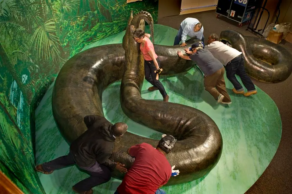 A 1,700-pound, life-size model of the prehistoric snake is at the Smithsonian National Museum of Natural History in Washington, DC.