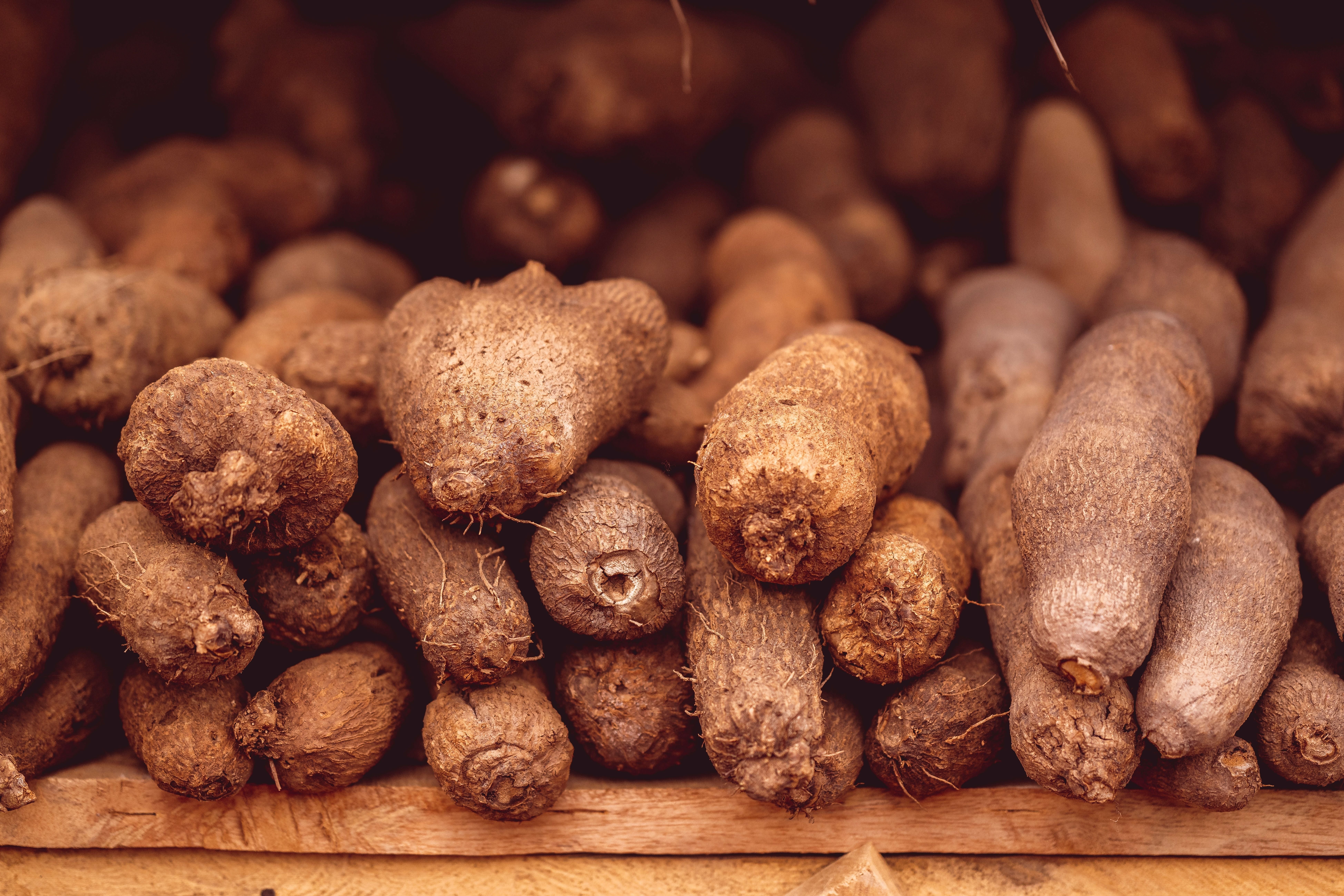 Dioscorea dumetorum, a type of yam, produces diosgenin. This natural steroid lowers inflammation, kills cancer cells, and interrupts harmful cell signals like NF-κB and MAPK. 