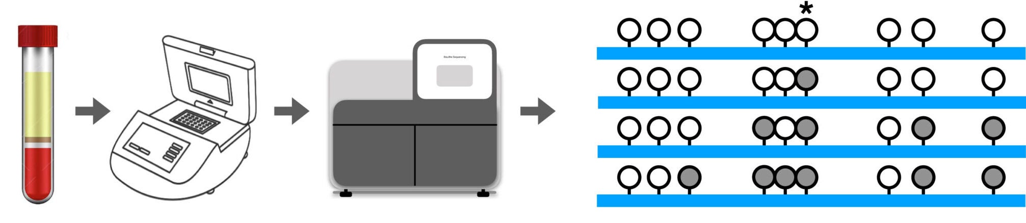 A schematic view of targeted PCR sequencing following bisulfite conversion, facilitating concurrent mapping of multiple neighboring CpG sites at a depth >5,000×.