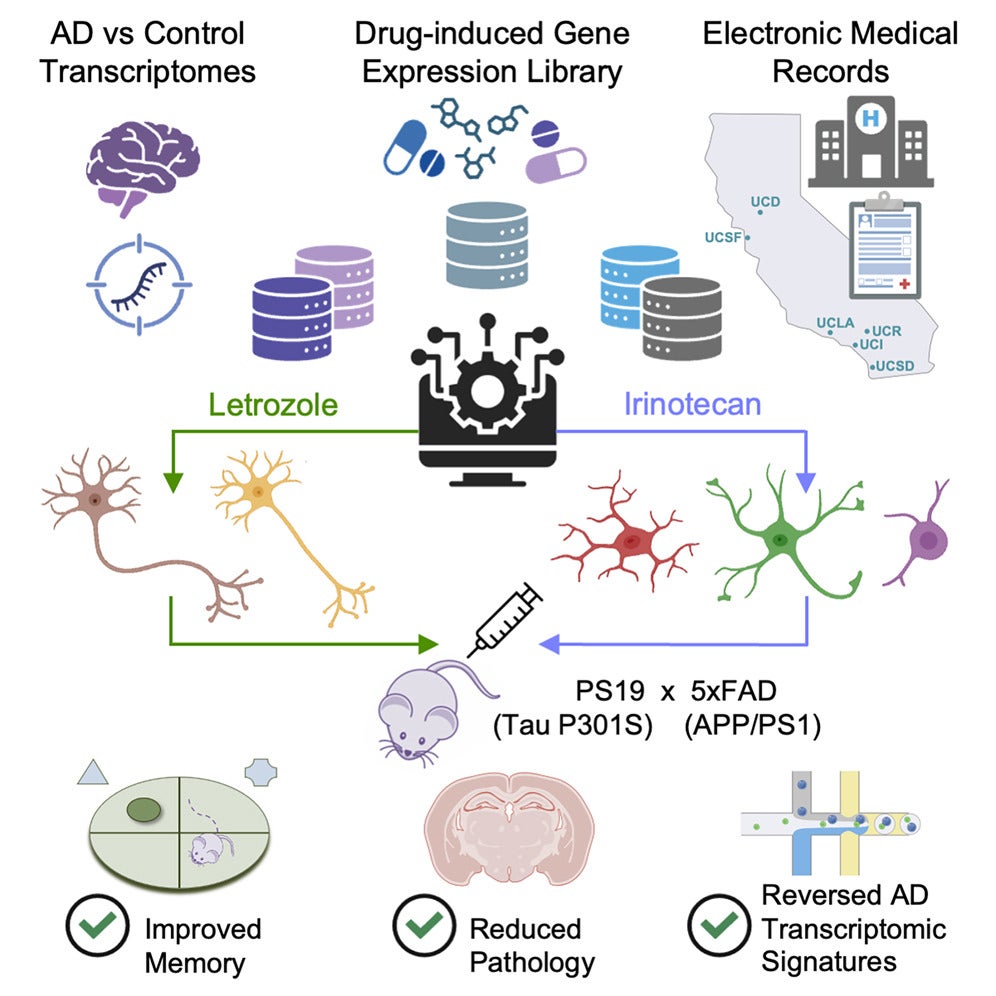 Graphical abstract. Alzheimer’s disease (AD) is a multifactorial neurodegenerative disorder characterized by heterogeneous molecular changes across diverse cell types, posing significant challenges for treatment development.