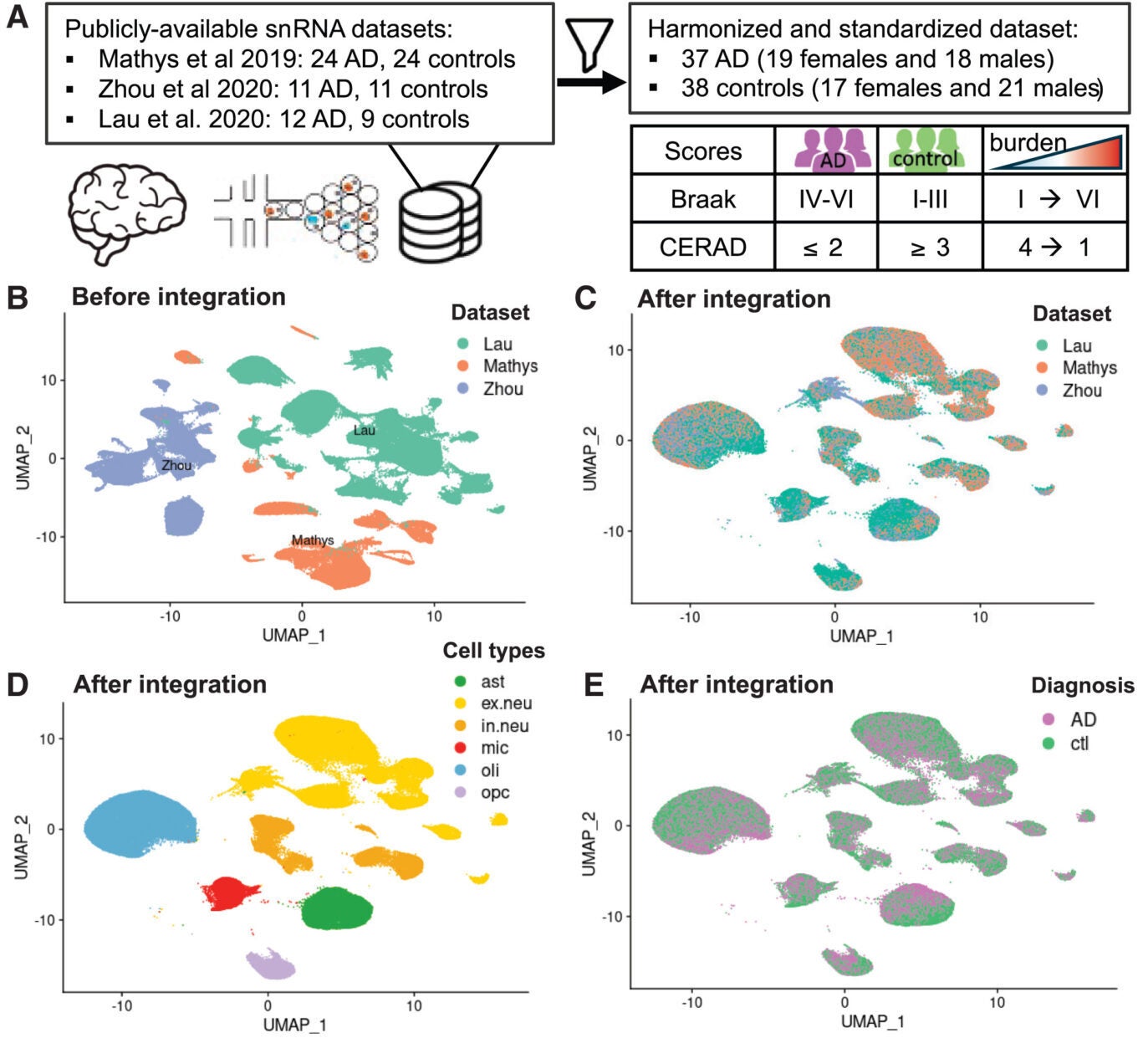 Single-nucleus transcriptomic profiling reveals both shared and cell-type-specific gene expression signatures in human AD samples