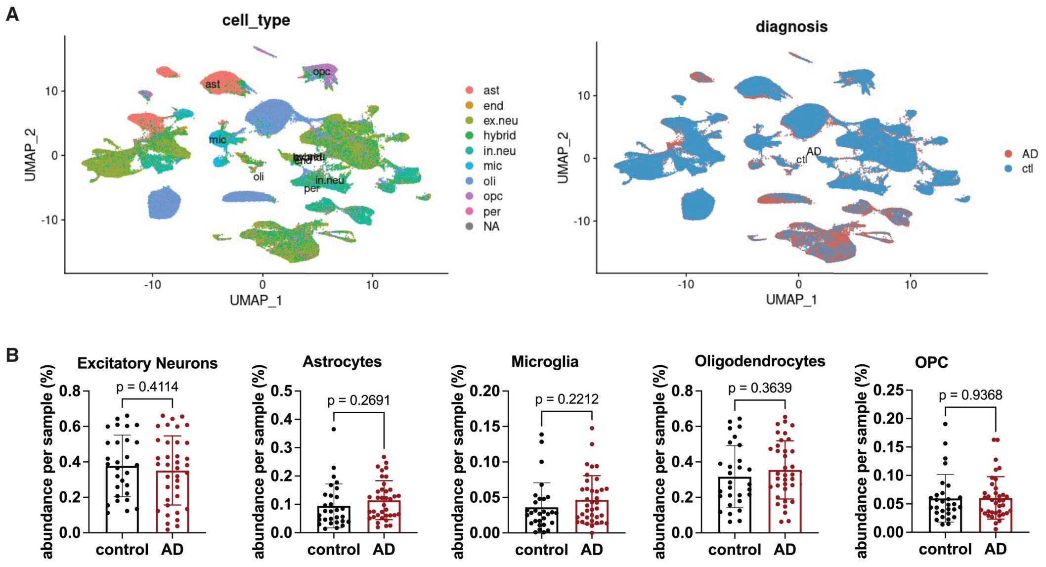 Additional UMAP, cell type abundance, cell-cell-communication, and enriched pathway results in the integrated human single-nucleus transcriptomic dataset