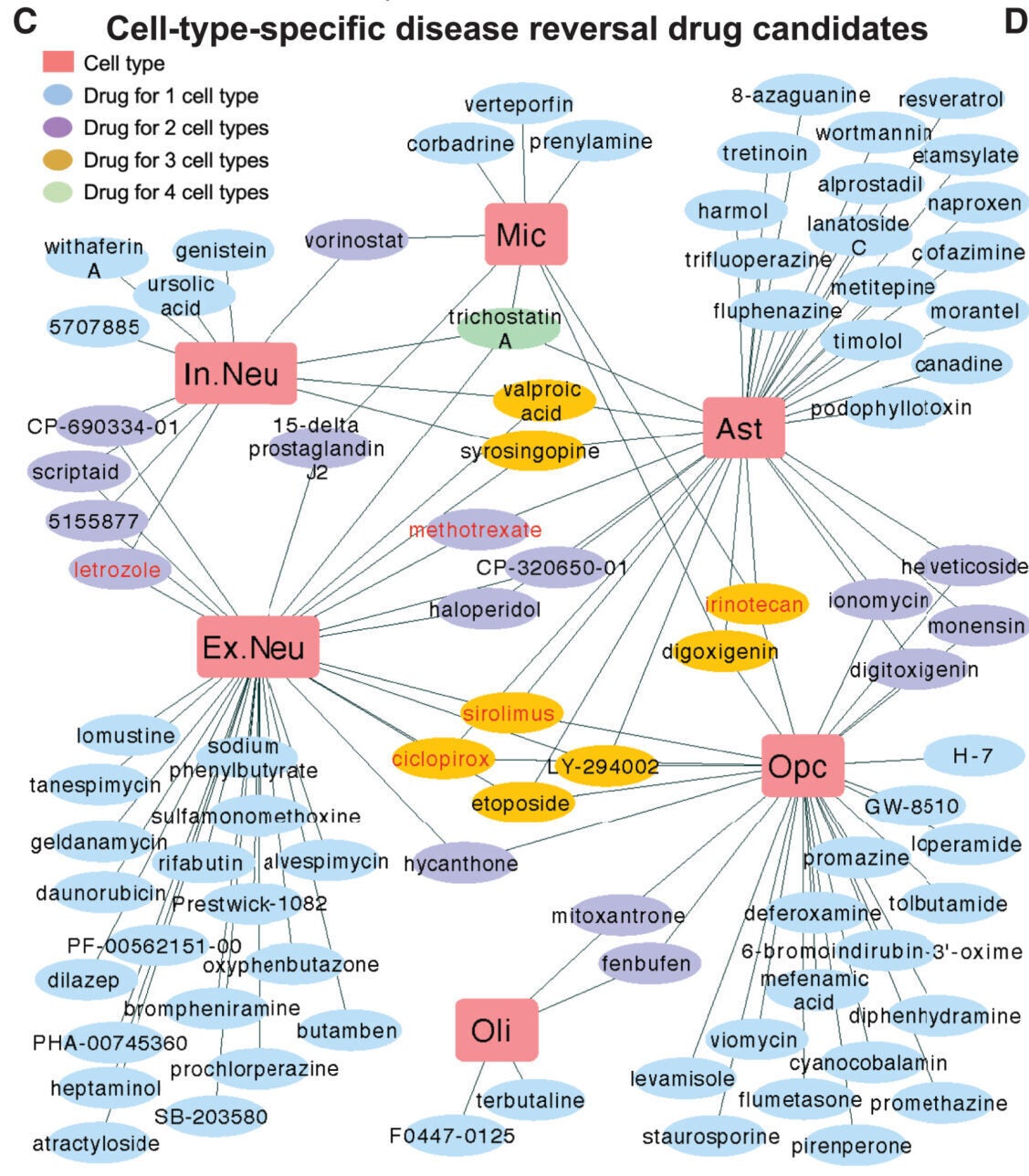 Computational drug repurposing pipeline predicts drug candidates reversing cell-type-specific transcriptomic signature profiles of AD