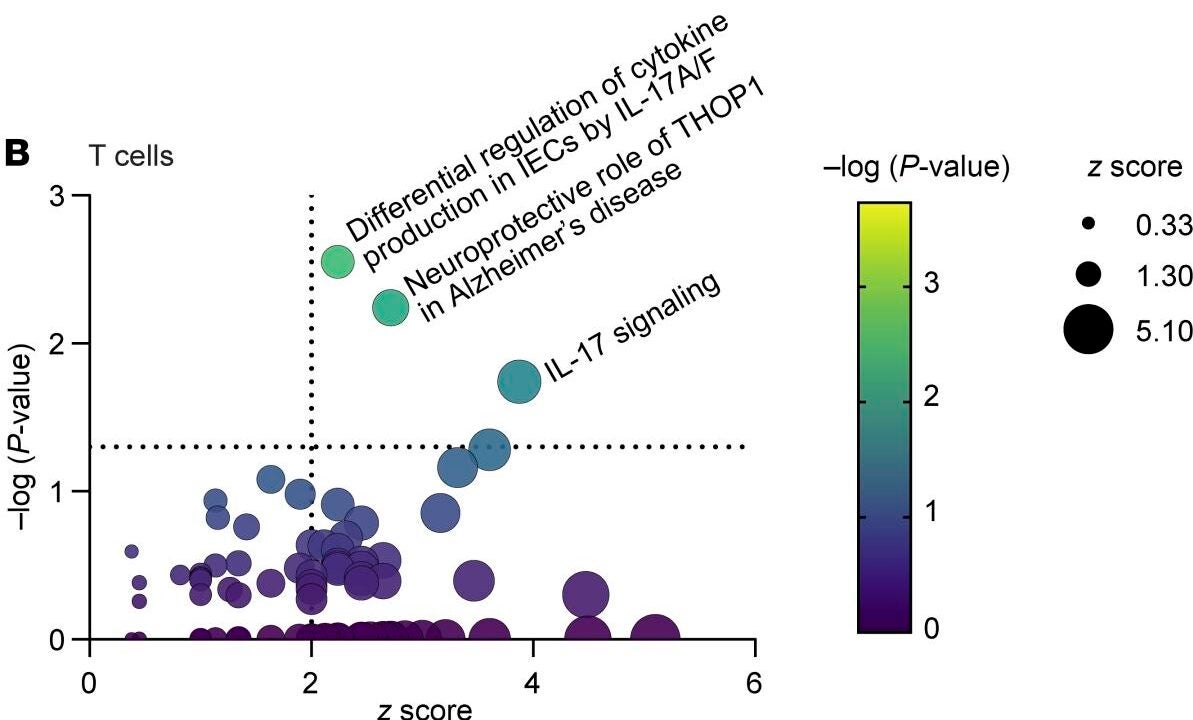 Differentially expressed pathways (indole versus vehicle) were identified with Ingenuity Pathway Analysis for CD3+ T cells. n = 5 paired samples.