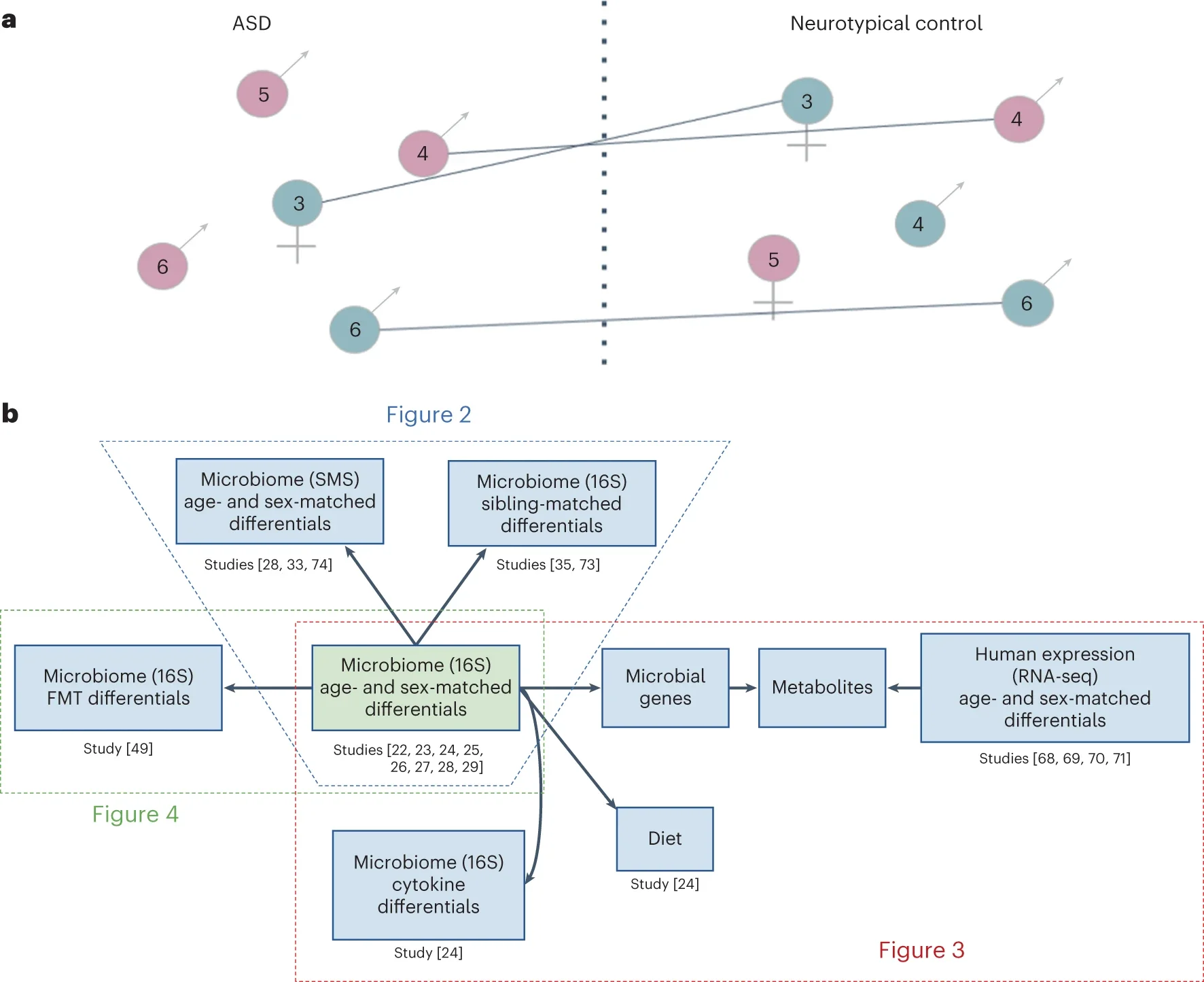 Diagram delineating the concept of age matching and sex matching.