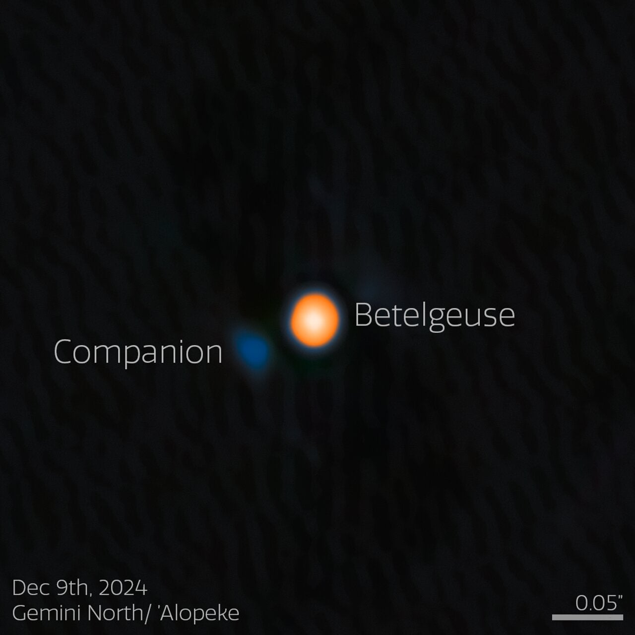 Using the NASA-NSF-funded ‘Alopeke instrument on the Gemini North telescope, astronomers have discovered a companion star in an incredibly tight orbit around Betelgeuse.