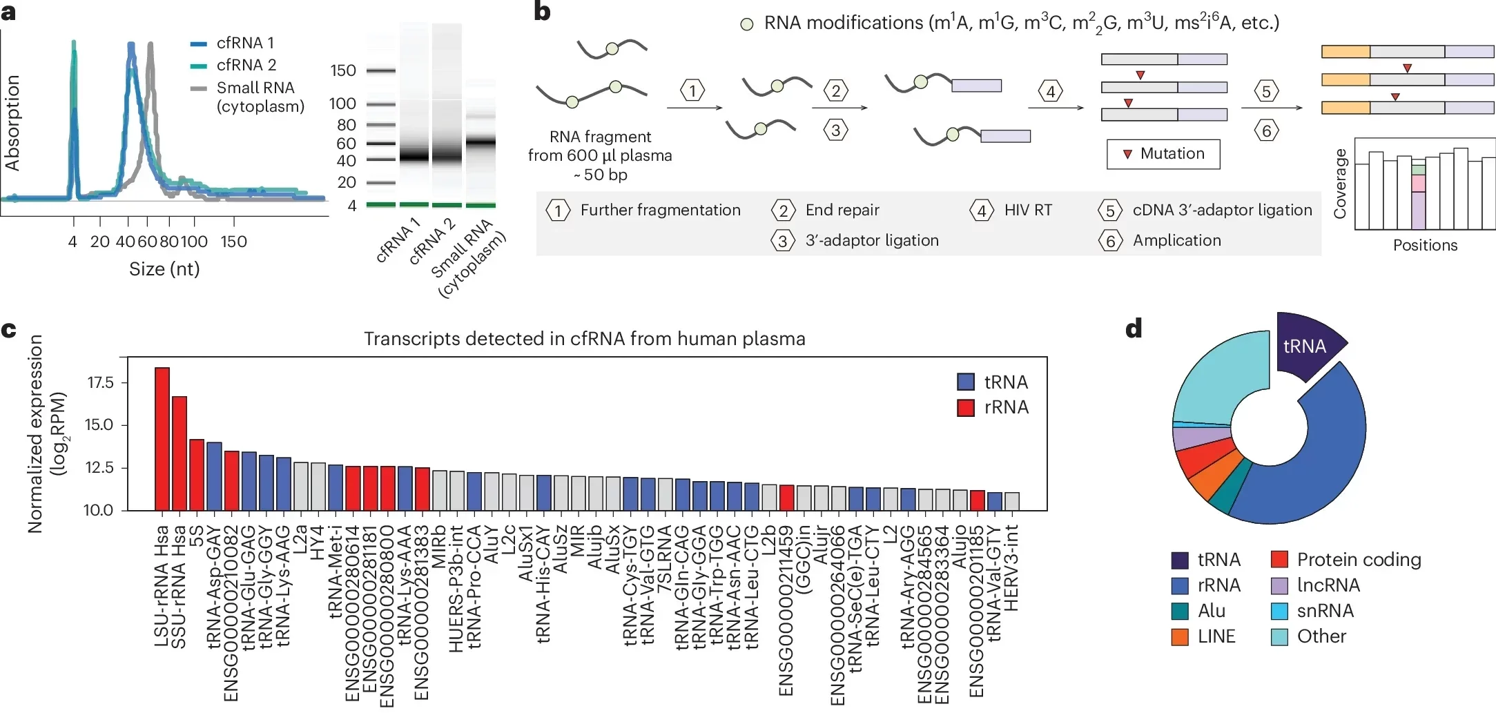LIME-seq reveals the presence of host ncRNAs and microbiome-derived RNAs in human plasma cfRNA.