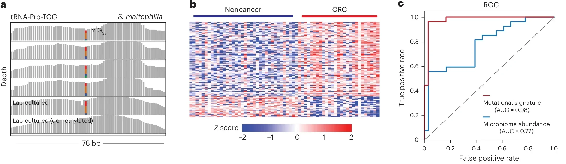 LIME-seq detects RNA modification signatures in microbiome-derived RNAs in plasma cfRNA, offering a set of biomarkers for CRC early diagnosis.