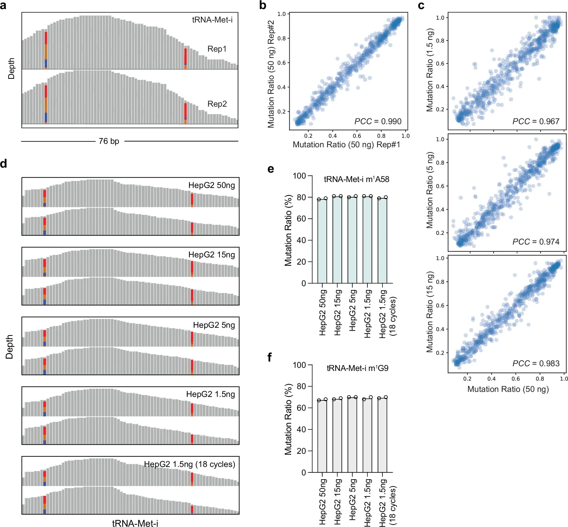 Quantitative and robust identification of RNA methylations in small RNAs from HepG2 cells by LIME-seq.
