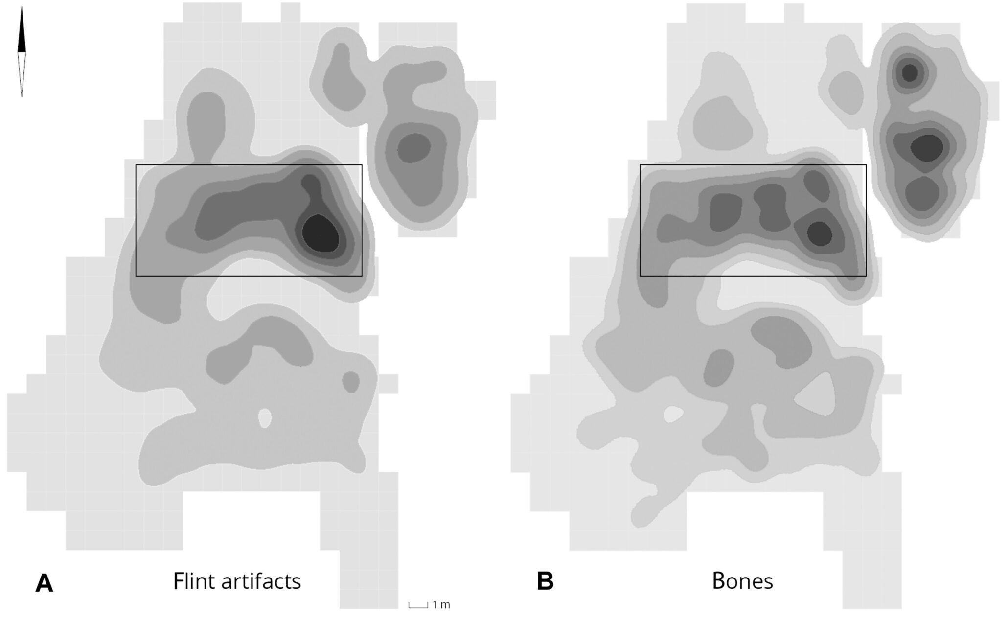 Spatial distribution of lithics and faunal remains.
