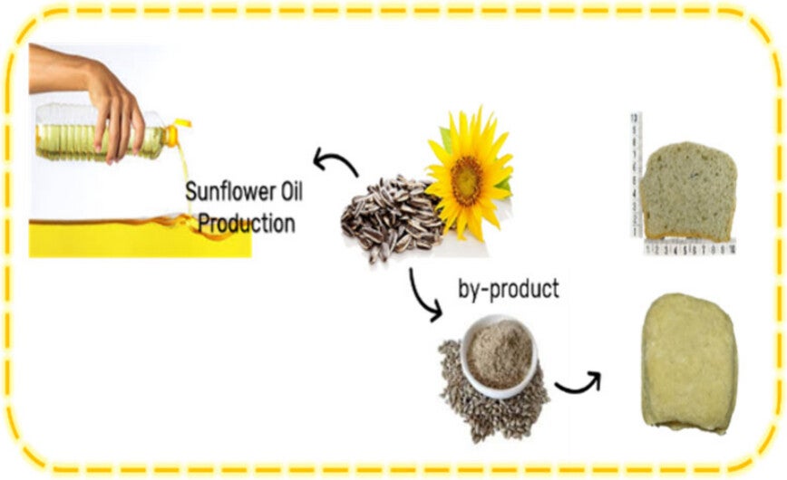 A graphical abstract of the study. (CREDIT: ACS Food Science & Technology)
