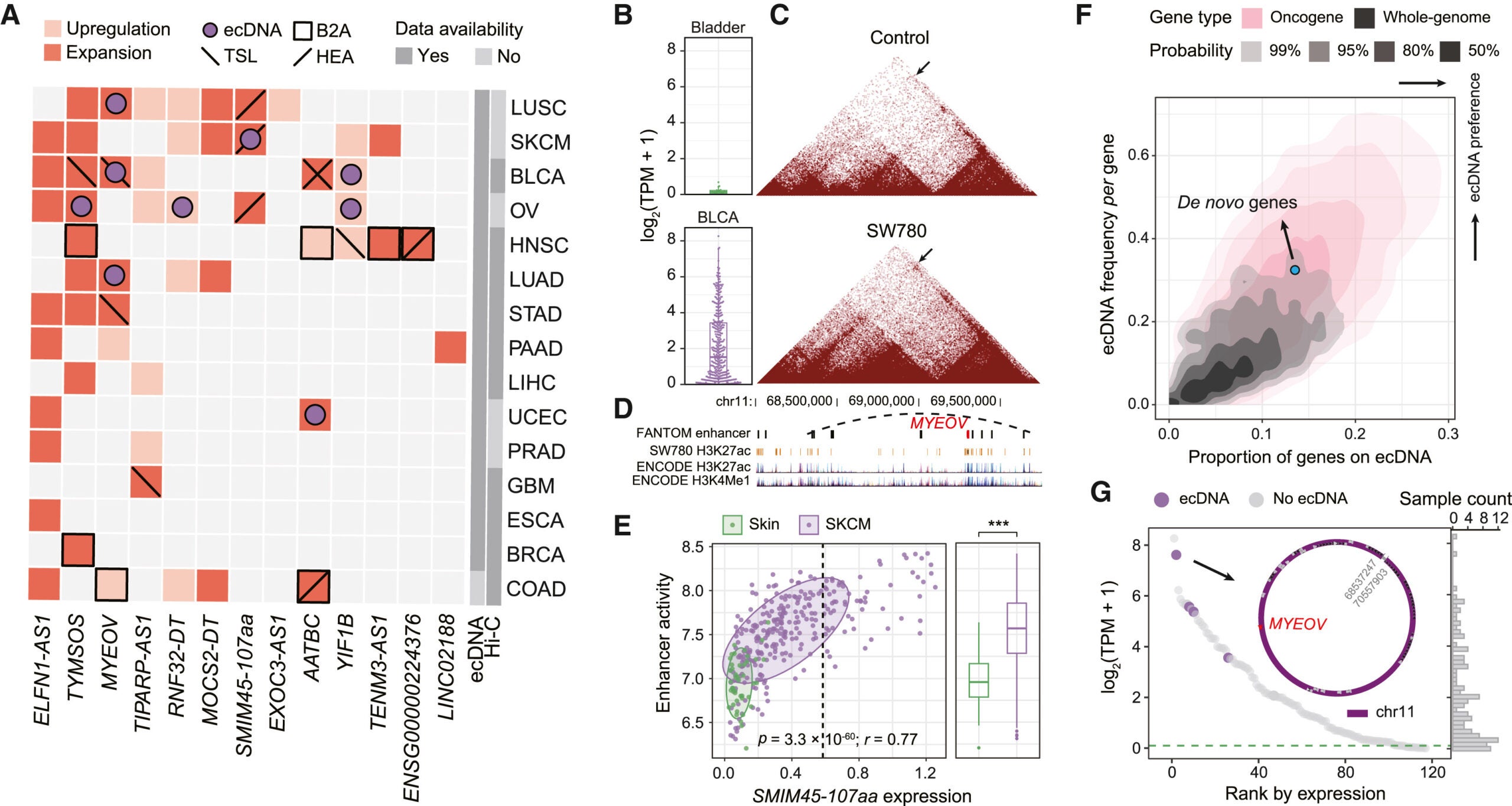 Association between genome reorganization and altered expression profiles of de novo genes in tumors