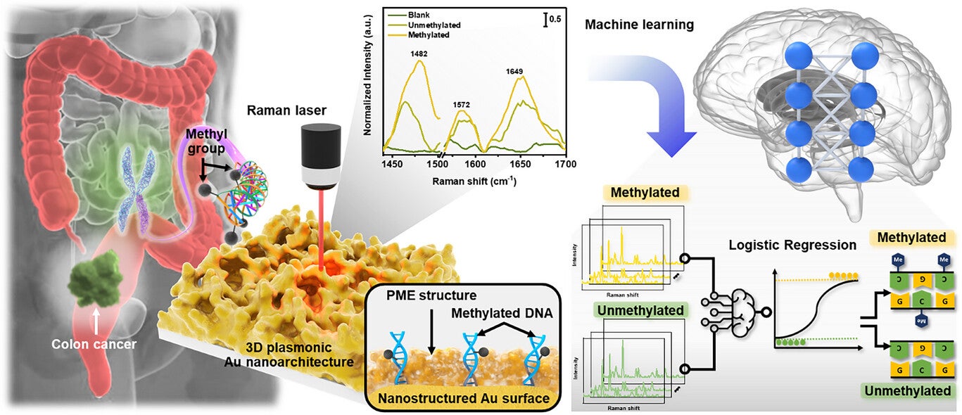 Schematic illustration of the PME method for label-free DNA methylation detection and quantification.