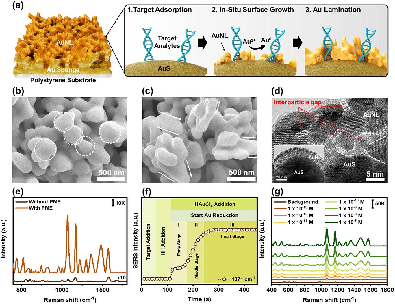 The PME method was developed using an Au nanostructure substrate as a nucleation site, with the addition of Au precursor and HH as trapping agents, in the presence of target analytes