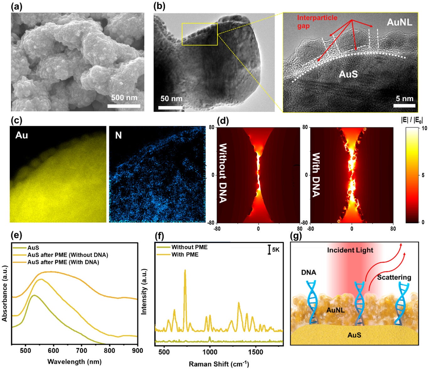 Material characterization of PME method in the presence of target DNA.