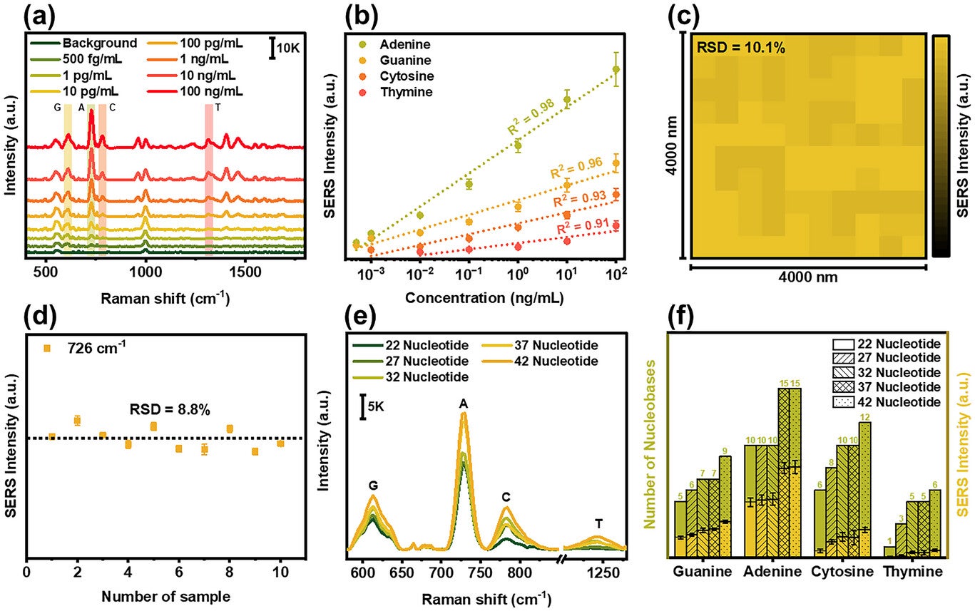 SERS performance of PME method for DNA profiling.