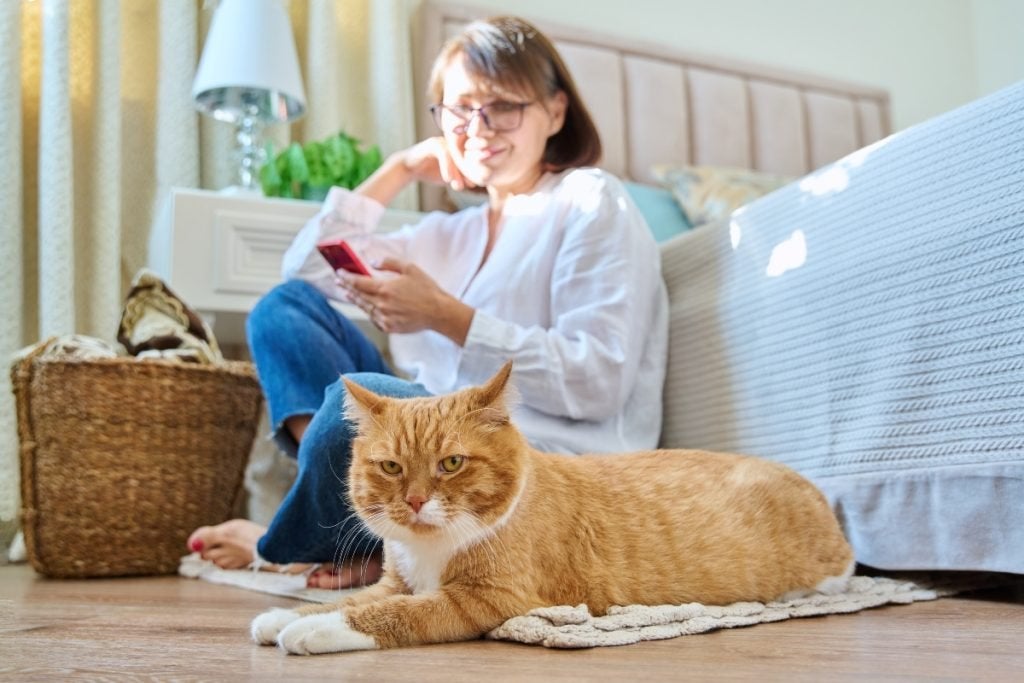 If cat behavior alone drove people to care less about them, the gap in emotional connection and treatment would be similar in every country.