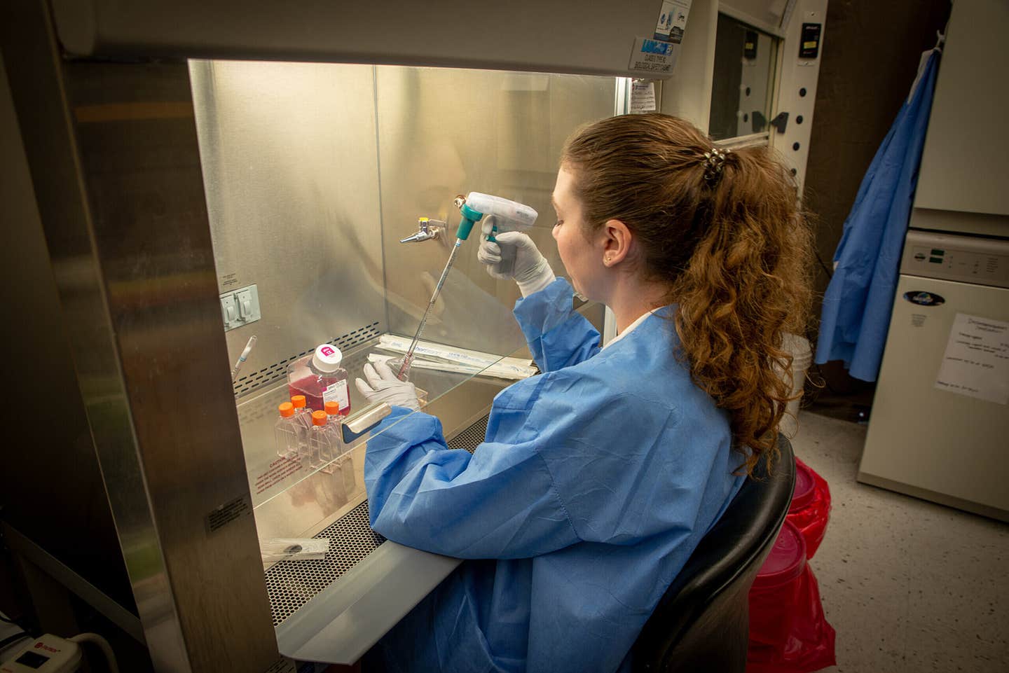 Scientists identify a new orthoreovirus strain in a shrew caught by a cat in Florida, raising questions about cross-species virus spread.