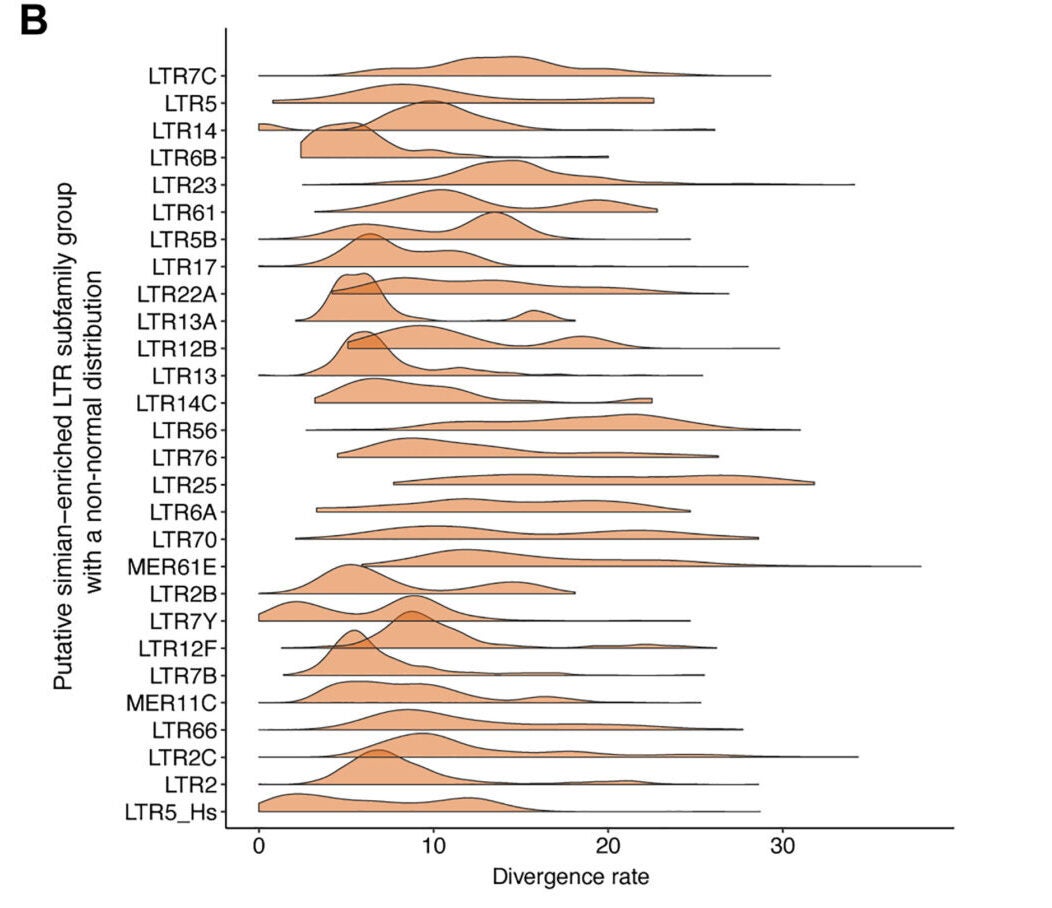 Divergence rate (% substitutions) distribution of instances relative to the subfamily consensus sequence.