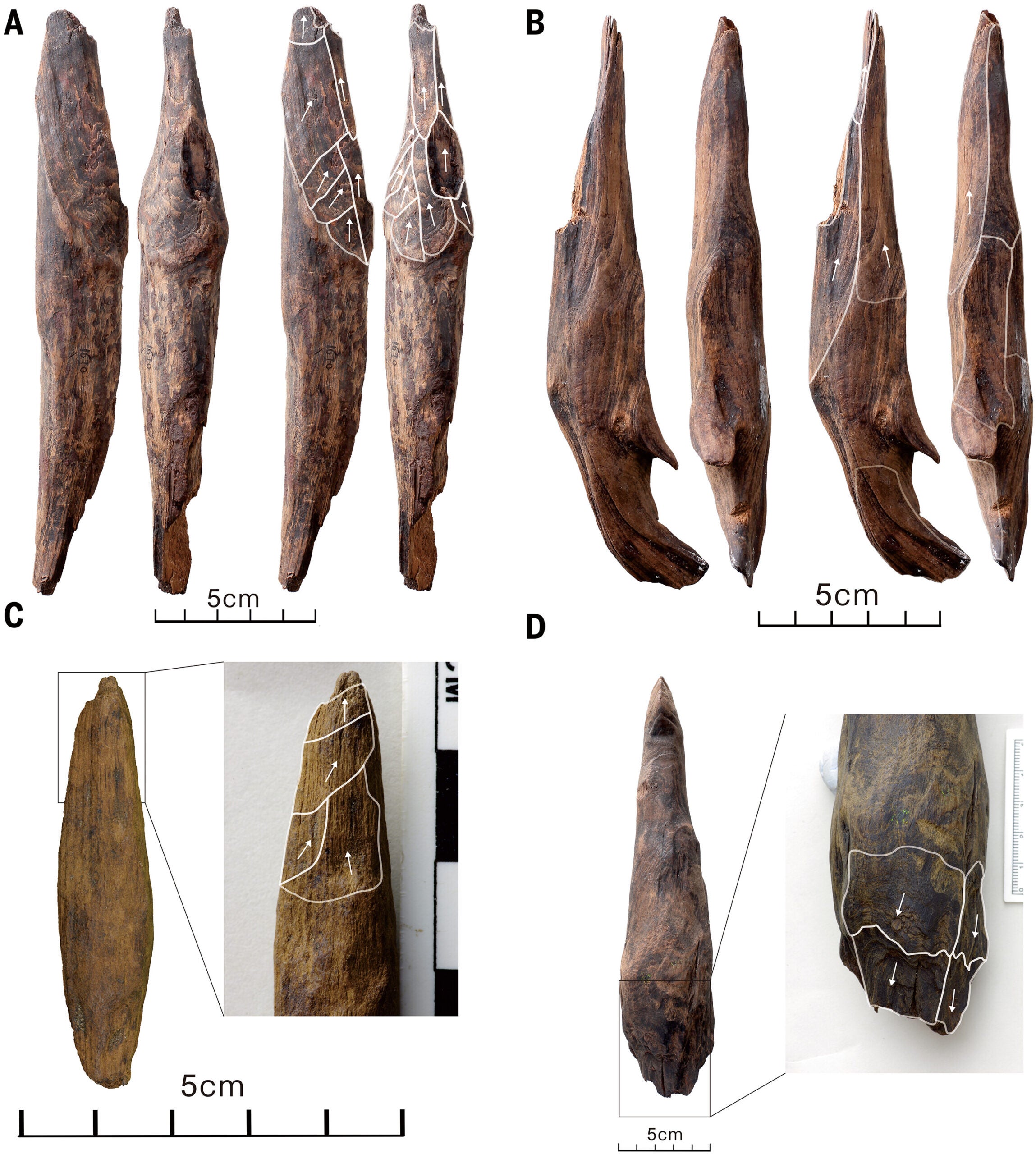 The wooden tools from Gantangqing took a variety of forms