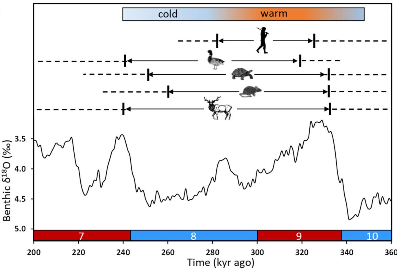 Conceptual model showing the climatic and environmental context of the site.