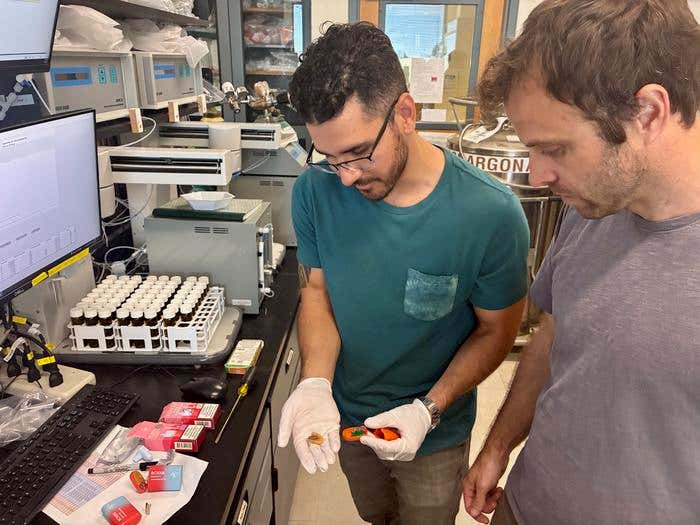 Hidden dangers: Toxic metals found in popular disposable vapes - The Brighter Side of News Hidden dangers: Toxic metals found in popular disposable vapes - The Brighter Side of News