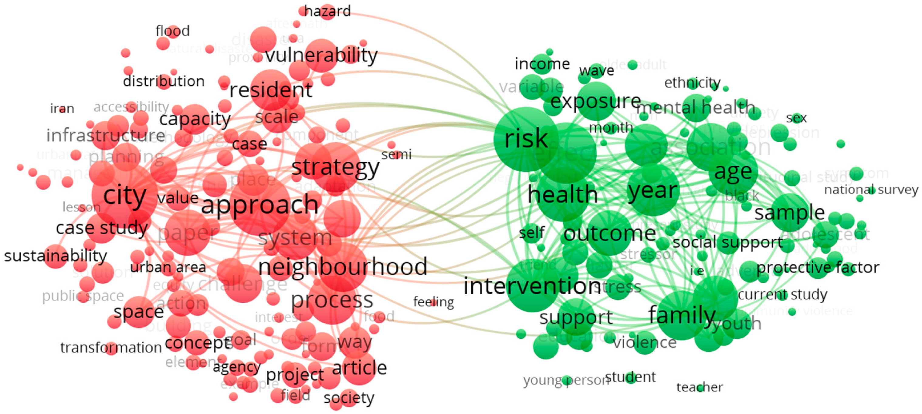 Thematic clusters in the neighborhood resilience literature indicating the separation between spatial and socio-demographic research dimensions.