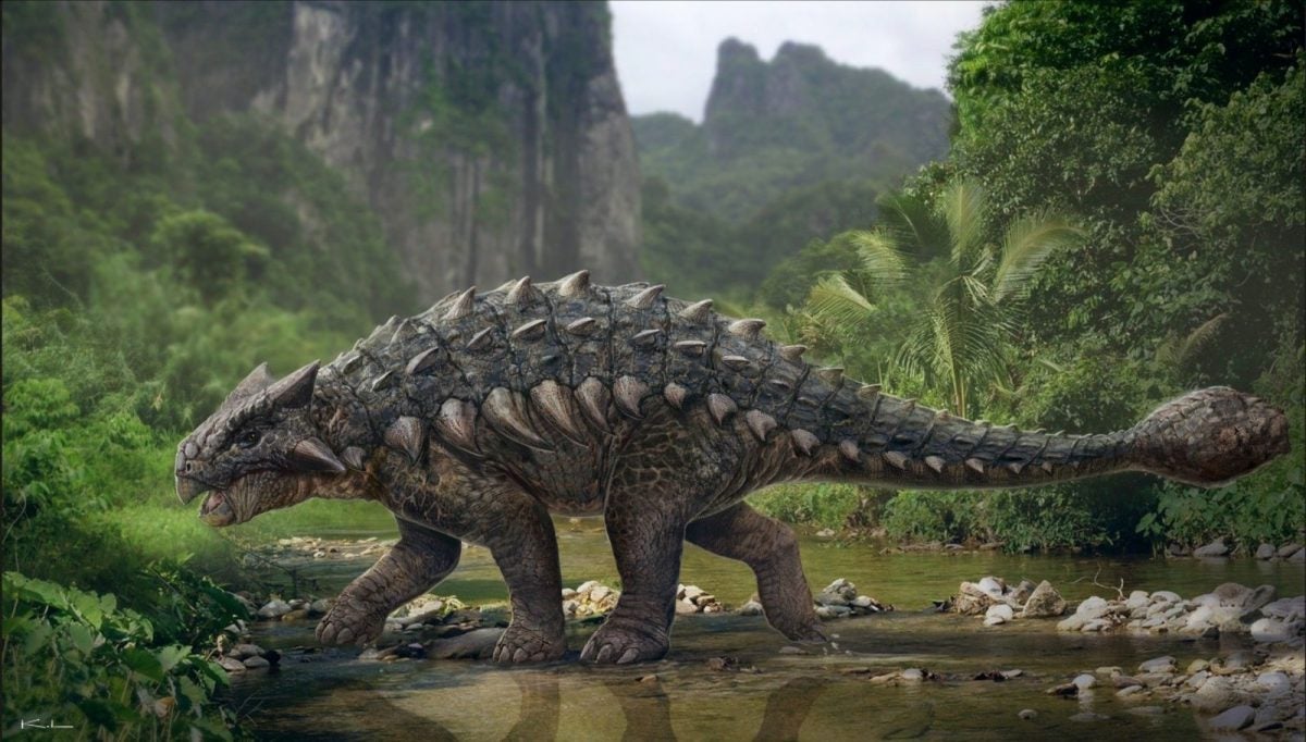 Illustrative image of an  ankylosaur.