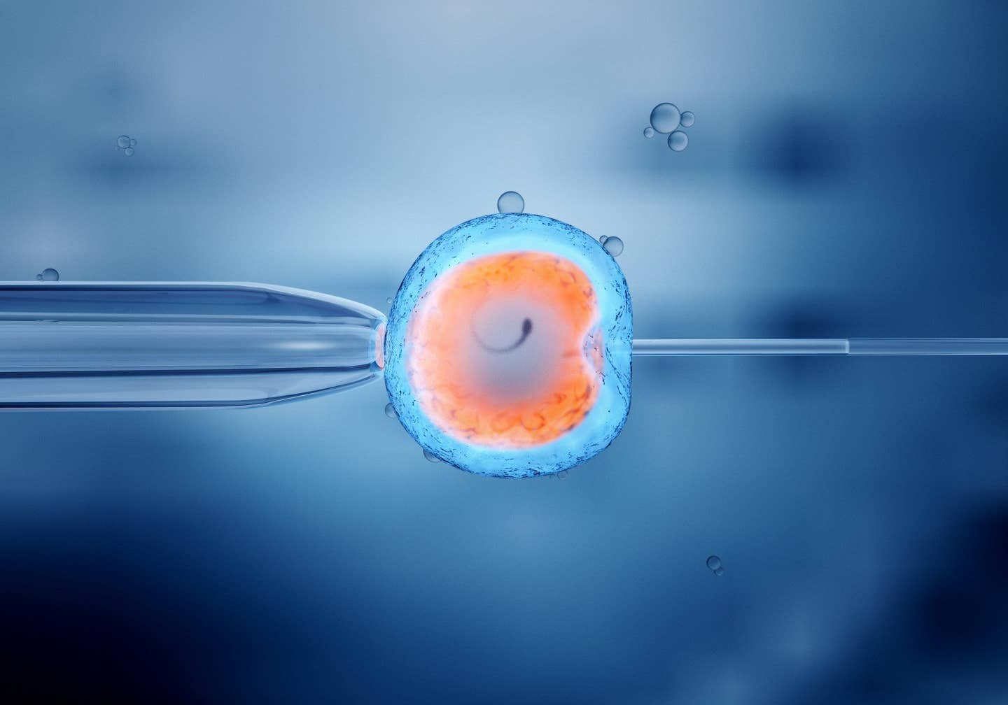 New study shows base editors can fix mitochondrial DNA mutations, opening doors to treat rare genetic diseases.