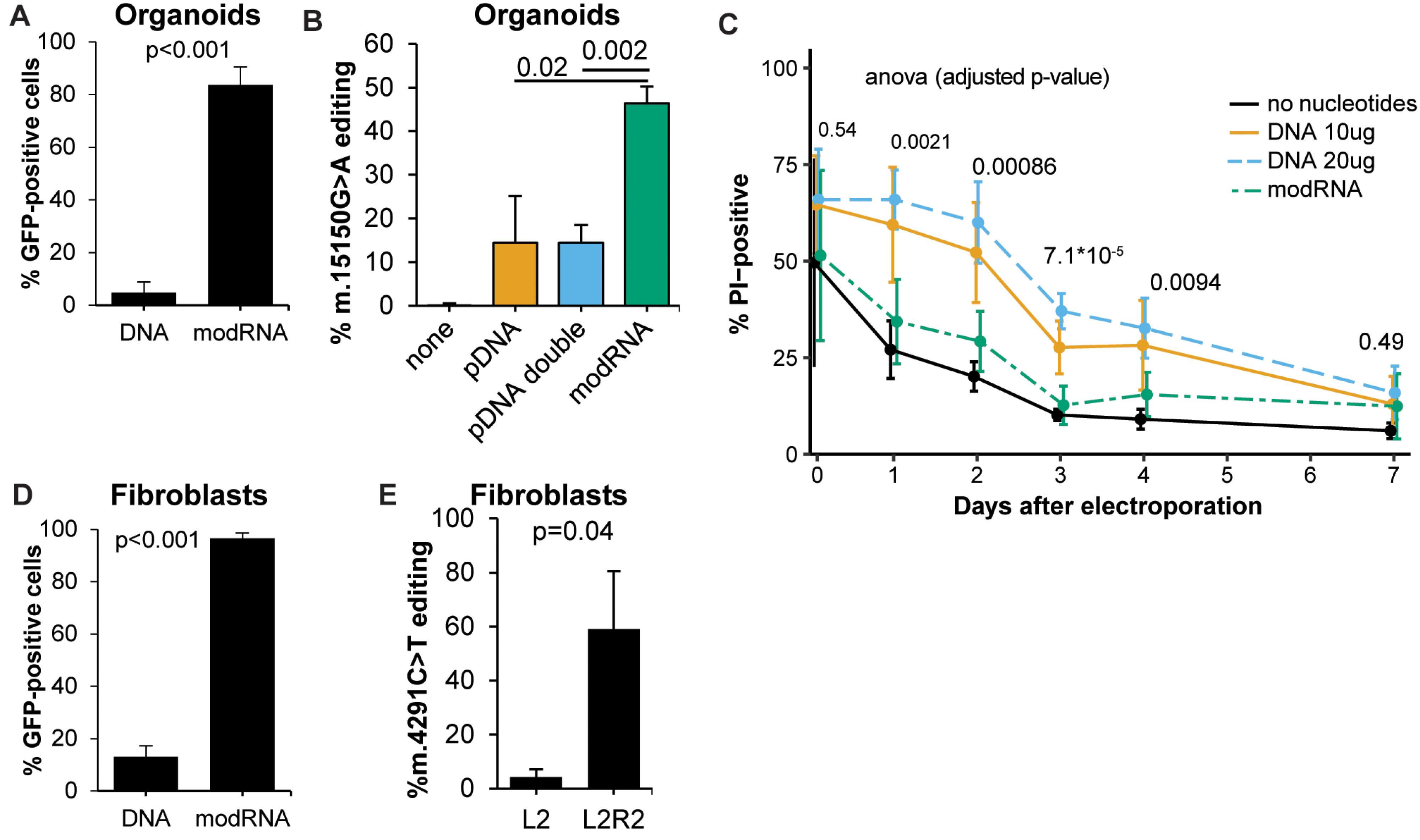 LNP-delivered modRNA encoding DdCBE efficiently corrects m.DNA mutations.