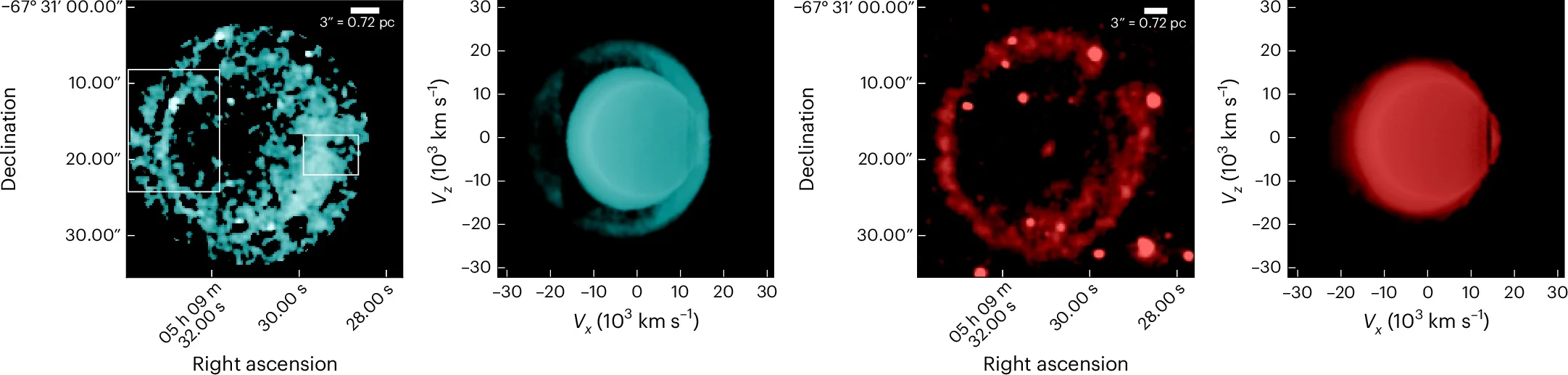 Observed and simulated shell structures in the supernova remnant 0509.