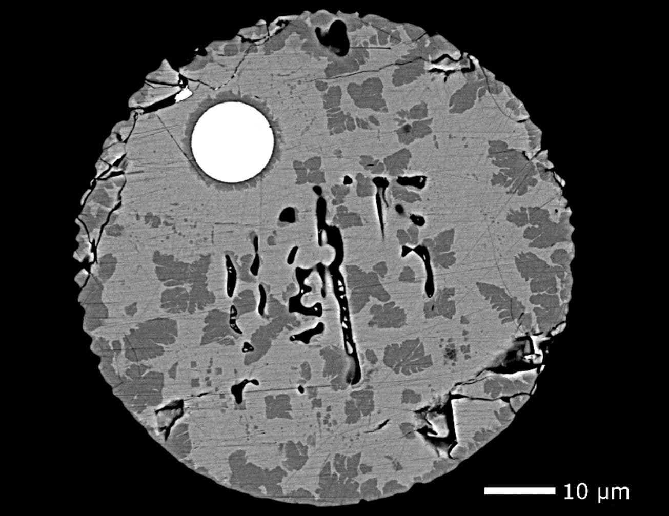Cross-section of a micrometeorite found in the Antarctic. The various iron oxide minerals in shades of gray were formed by oxidation in the Earth's atmosphere.