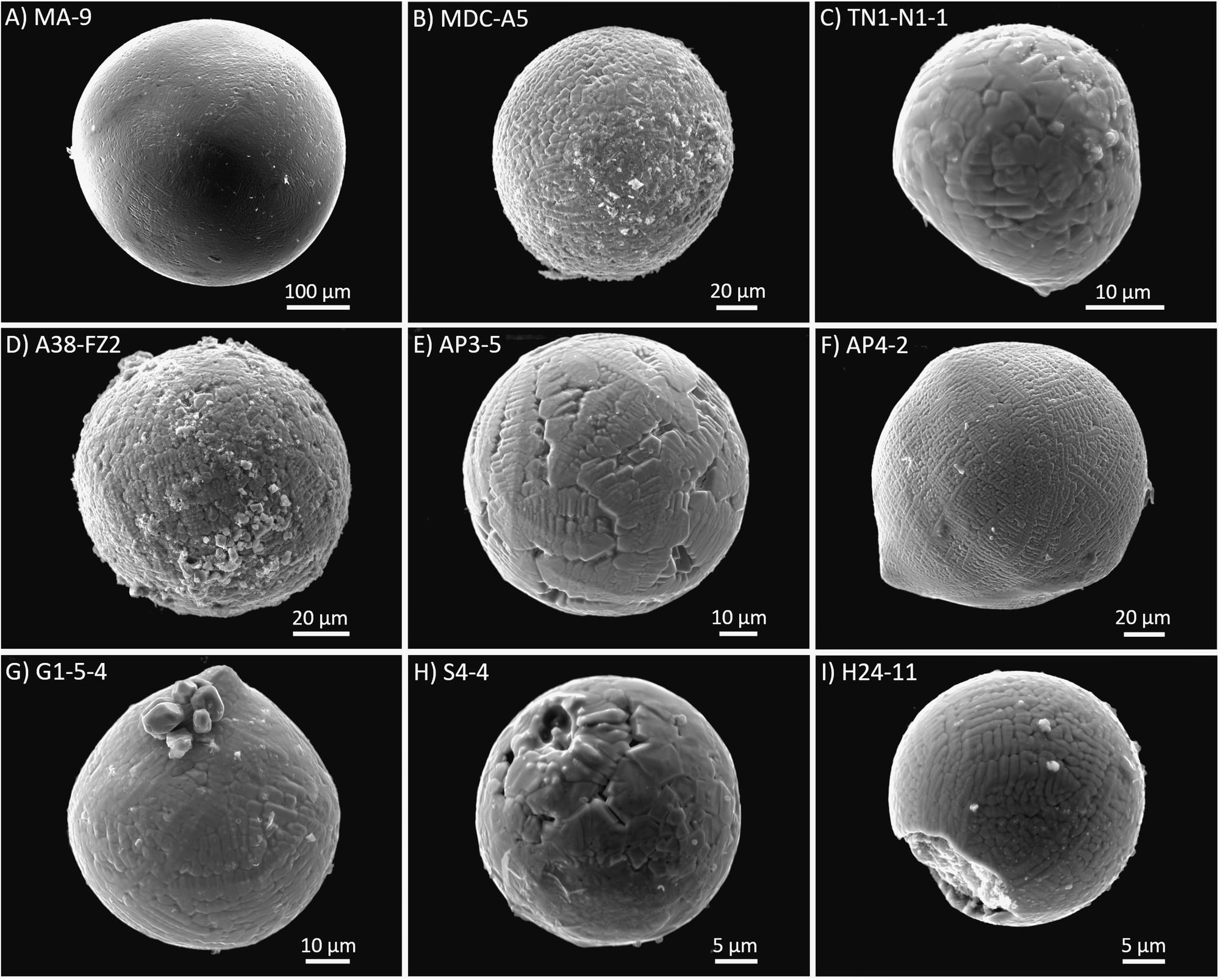 Scanning electron microscope secondary electron images of I-type cosmic spherules.
