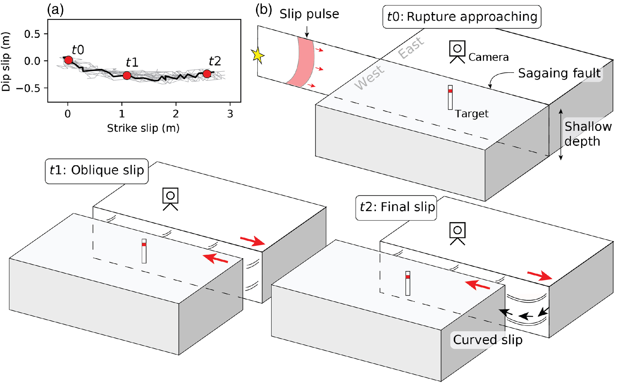 Schematic illustrating coseismic slip evolution on the Sagaing fault during the 2025 Myanmar earthquake.