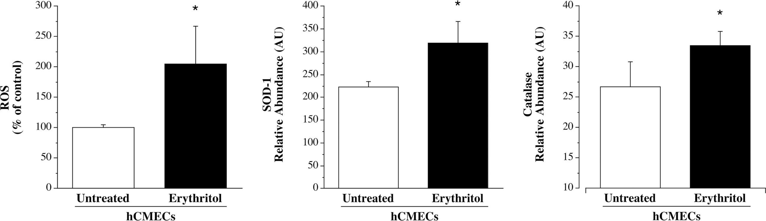 Effect of erythritol on brain microvascular endothelial cell ROS production and intracellular expression of SOD-1 and catalase.