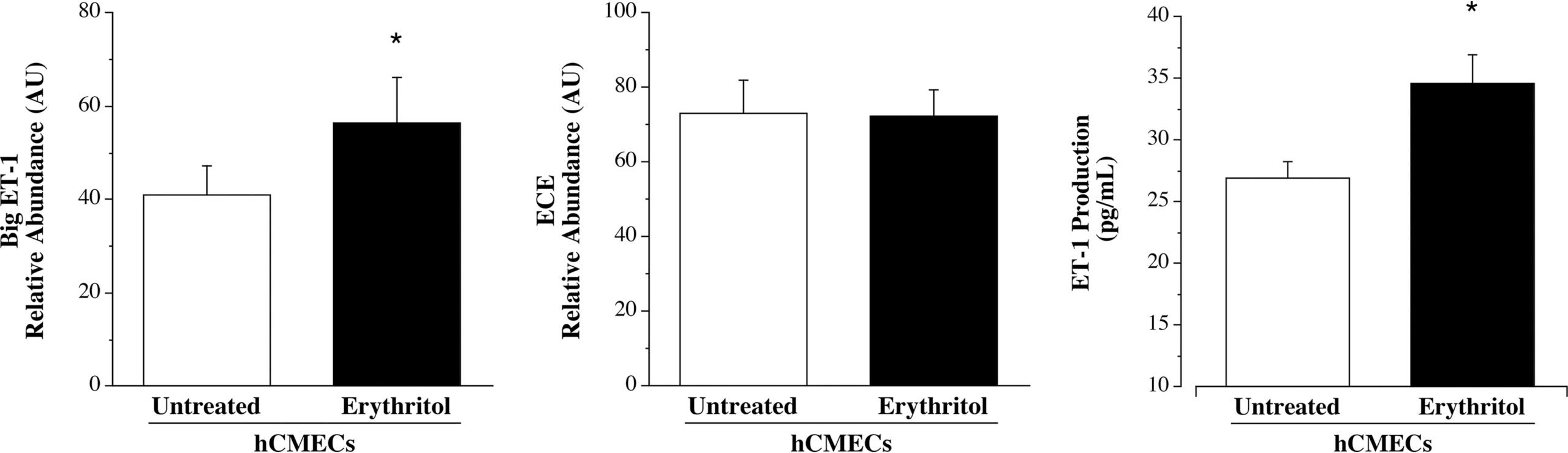 Effect of erythritol on brain microvascular endothelial cell expression of Big-ET-1 and ECE as well as ET-1 production.
