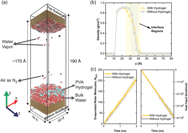 Water evaporation due to thermal energy input only.