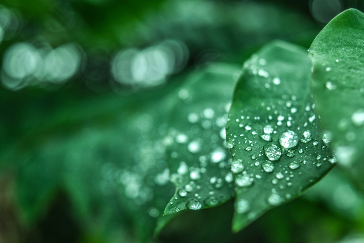 Sunlight's electric field speeds water evaporation up to 40% faster than heat alone, revealing the hidden power of electromagnetic waves.